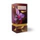 Buy Saffron Dubai Redgold
